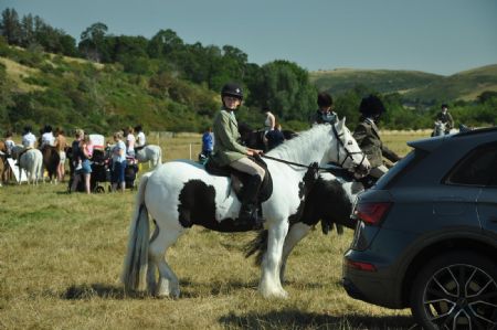 Customer Success Gallery - 